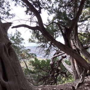 Meet your Posher, Renea